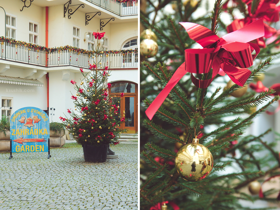 Рождество в Праге и окрестностях (ахтунг, много фото, трафик)