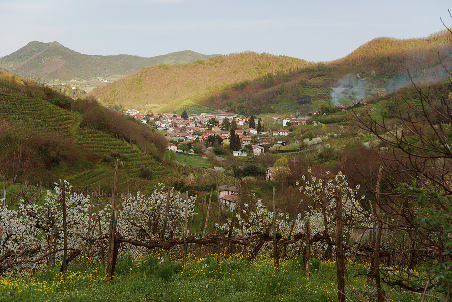 Падуя, Виченца и Эуганские холмы, весна 2018